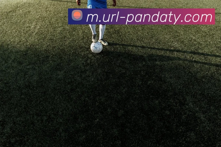 熊猫体育APP 封面图