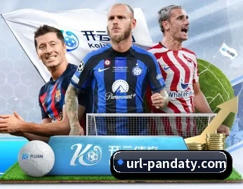 熊猫体育的故事 - 体育资讯内容服务（PANDASPORTS）